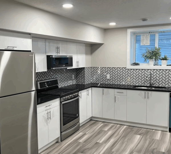 Modern Basement Kitchen