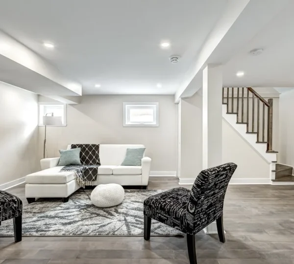 Basement Development
